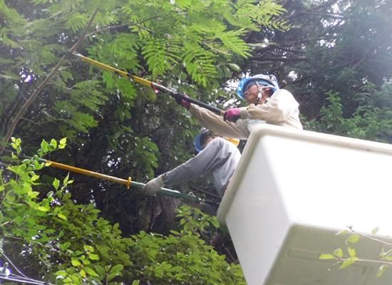 株式会社こうこくの求人・転職情報