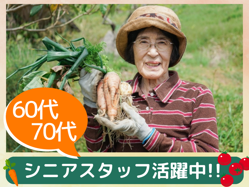 NDSソリューション株式会社　VEGESOL.やとみのアルバイト・バイト求人情報-02