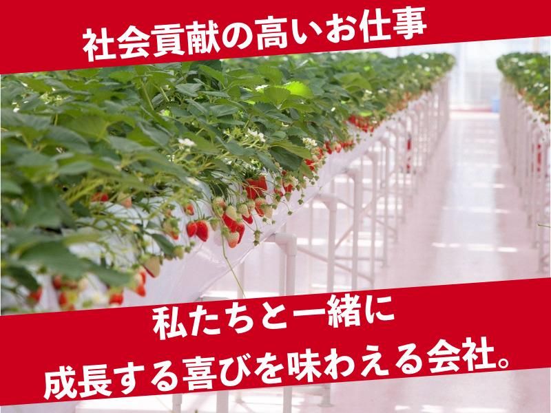 株式会社ＪＥＲＡミライフルの求人・転職情報