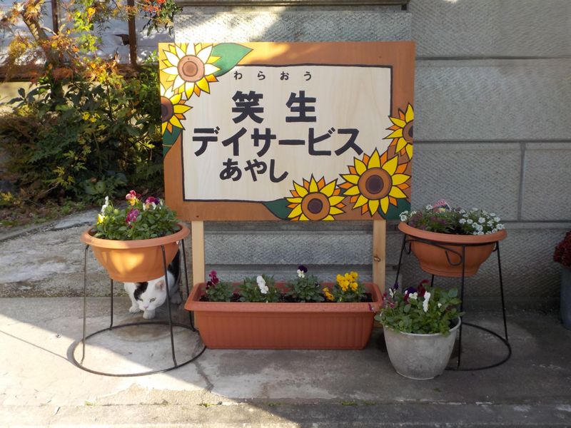 株式会社宮城介護福祉サービスの求人・転職情報