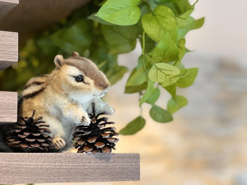 にしおぎ耳鼻咽喉科クリニックのアルバイト・バイト求人情報-04