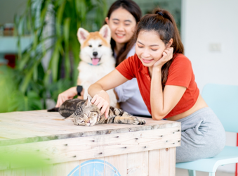 森田動物病院のアルバイト・バイト求人情報-02
