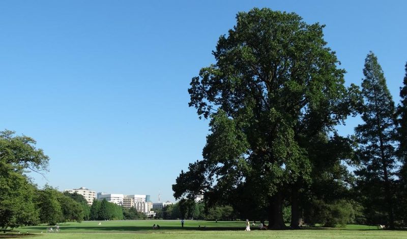一般財団法人　国民公園協会新宿御苑のアルバイト・バイト求人情報-03