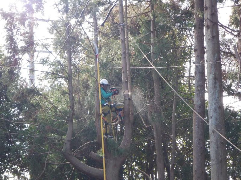 ワタナベ電建株式会社-0001の求人・転職情報
