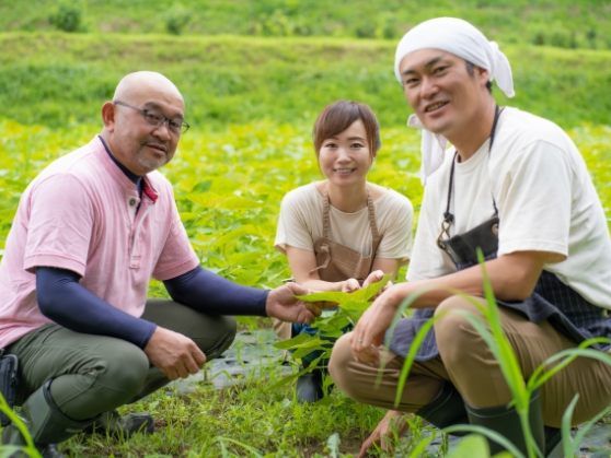 有限会社沖縄長生薬草本社の求人・転職情報