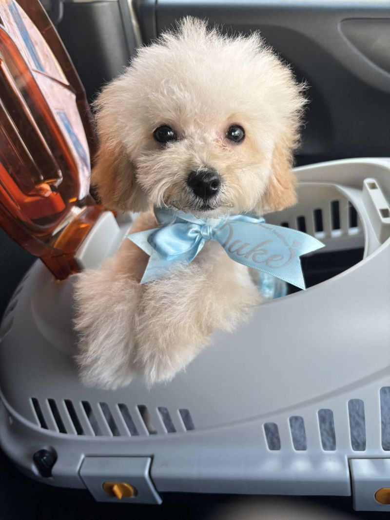 メディケア縁ALOHAのアルバイト・バイト求人情報-16