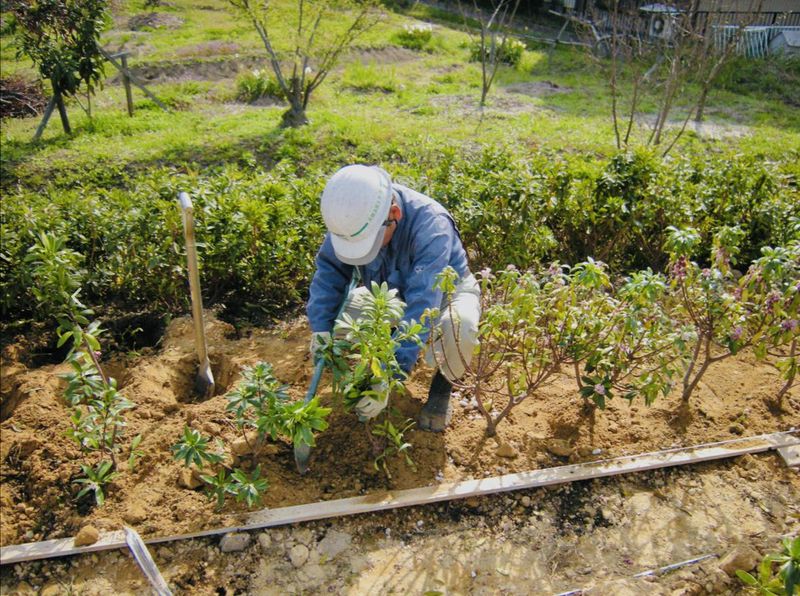 高橋造園土木有限会社のイメージ2