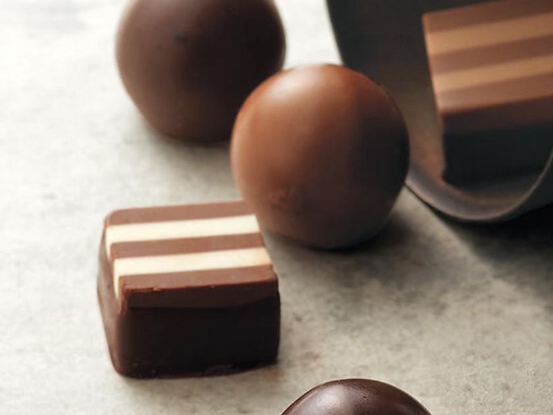 株式会社アムスコーポレーションの求人・転職情報