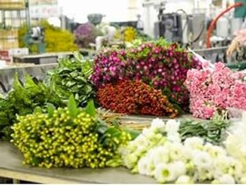 株式会社Japan　Flower　Trading　岡山事業所のアルバイト・バイト求人情報-02