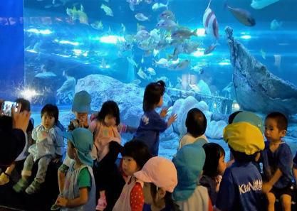 株式会社KNホールディングス　キッズナーサリーあざみ野校のアルバイト・バイト求人情報-02