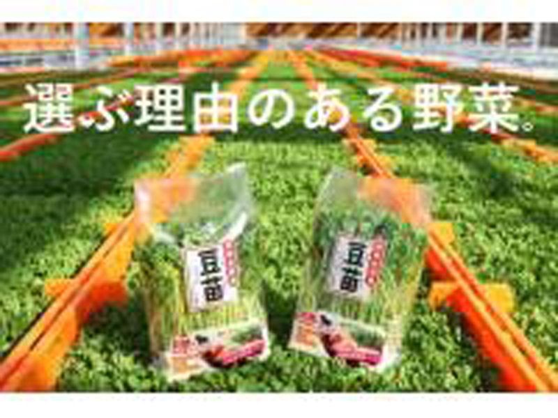 【山梨】1day仕事体験(生産)最大級・最先端の植物工場見学