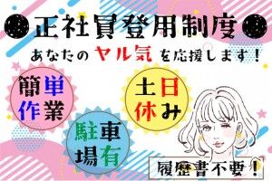 ヒューマンブリッジ株式会社の求人4