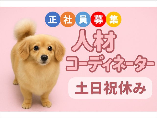 株式会社スキルプラザの求人・転職情報