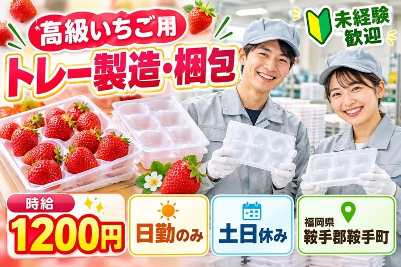 Man to Man株式会社 北九州オフィスのアルバイト・バイト求人情報