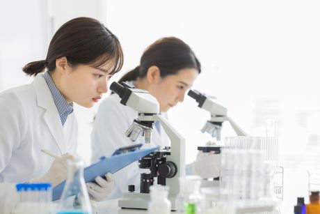 株式会社デルタソリューションズの派遣求人情報