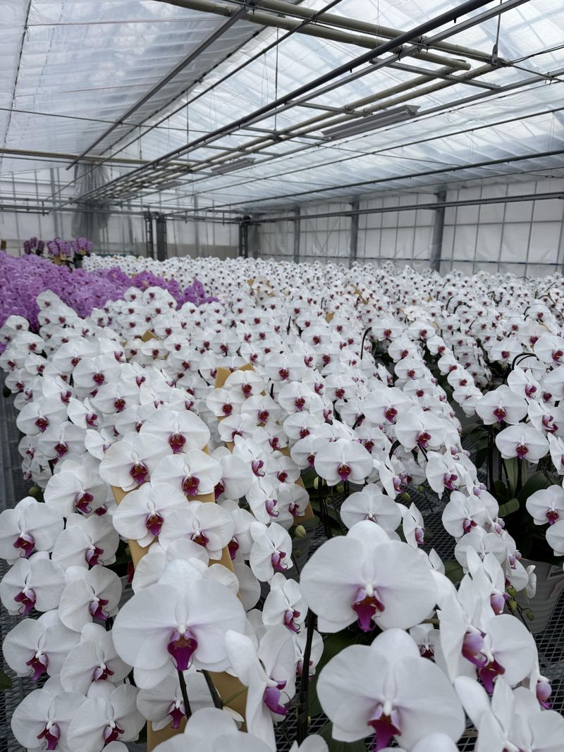 株式会社リーフのアルバイト・バイト求人情報-03