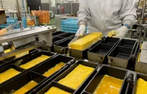 株式会社ヨークベニマルのアルバイト・バイト求人情報-28