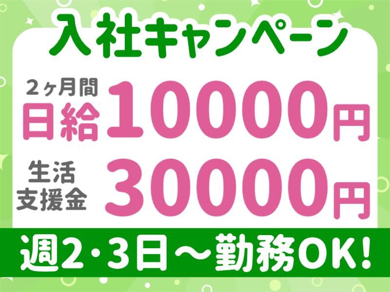 株式会社パルズパートナー