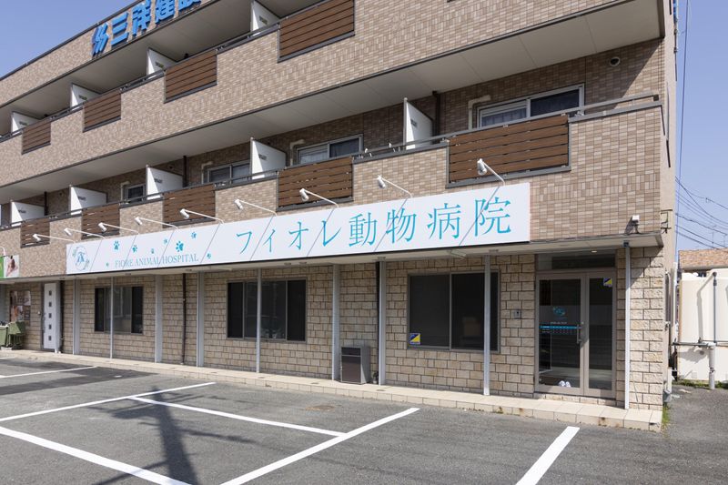 フィオレ動物病院