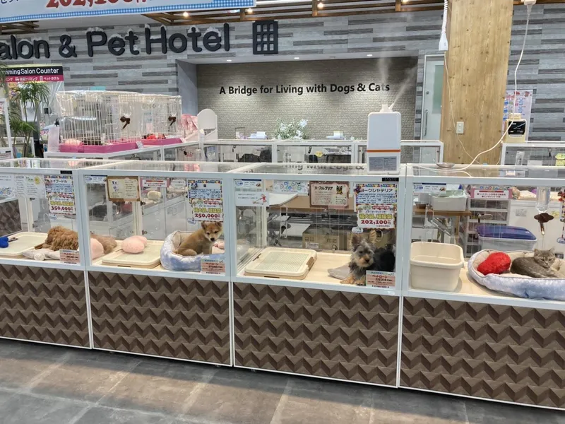 Japan Pets Trading 西岡店のアルバイト・バイト求人情報-01
