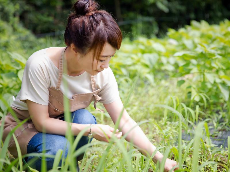 ダスキン津田 (本社)のアルバイト・バイト求人情報-05