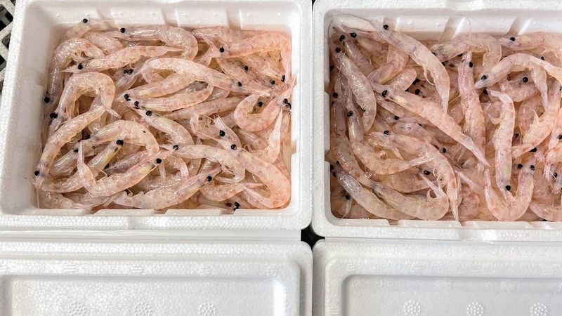 有限会社小林釣餌のアルバイト・バイト求人情報-03