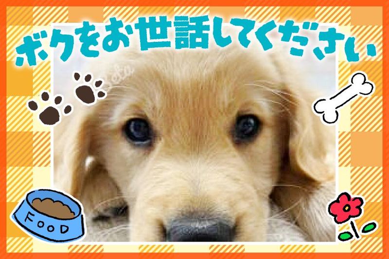 株式会社ファイブワンの求人・転職情報