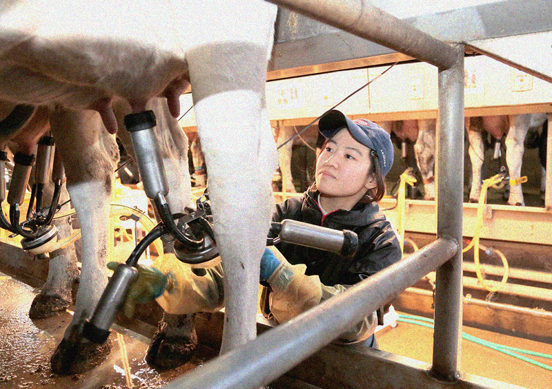 株式会社i-Milk　Factoryのアルバイト・バイト求人情報-05