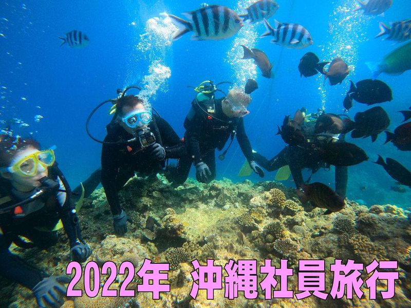 宝来家のアルバイト・バイト求人情報-03