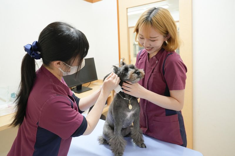 アニファ動物病院 お花茶屋病院のアルバイト・バイト求人情報-02