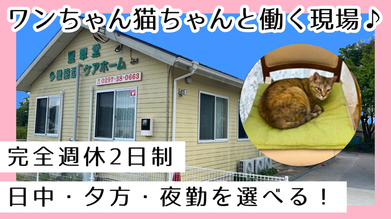 有限会社ワイオハの求人・転職情報