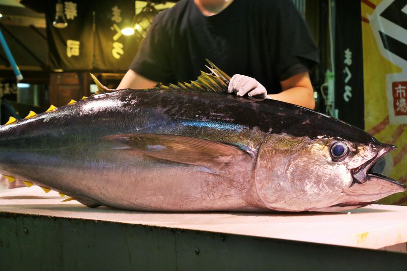 三上水産株式会社の求人・転職情報