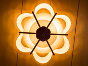 株式会社タケナカの求人・転職情報