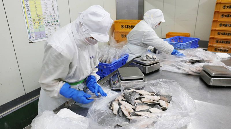 丸喜水産株式会社のアルバイト・バイト求人情報-03