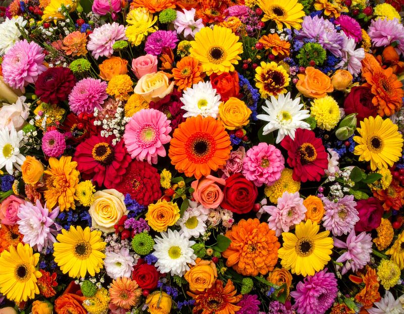 株式会社LCL(ハッピー豊洲店)のアルバイト・バイト求人情報-03