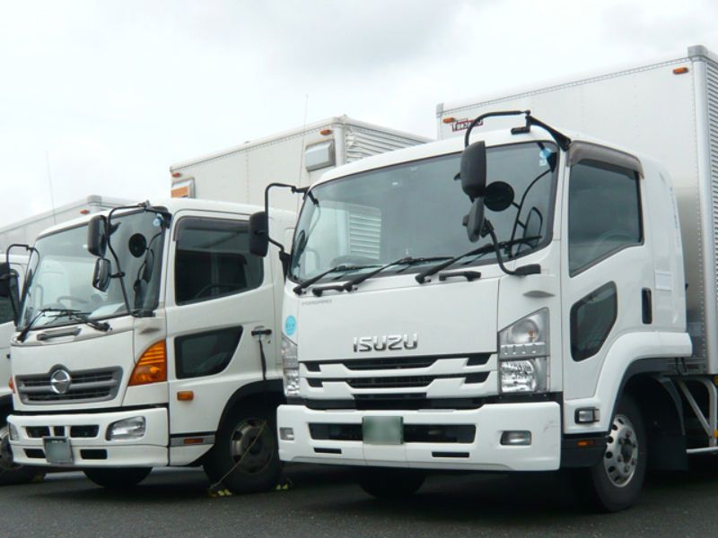 有限会社ドルフィン物流サービスの求人・転職情報