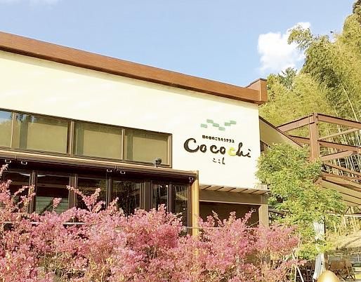 緑の谷のごちそうテラス　CoCoChi　~ここち~の派遣求人情報