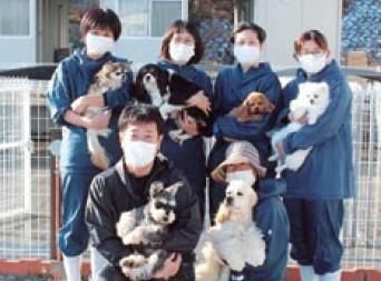 株式会社Pet　Primeのアルバイト・バイト求人情報-03