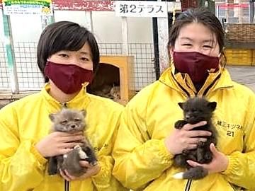 有限会社蔵王キツネ村のアルバイト・バイト求人情報-04