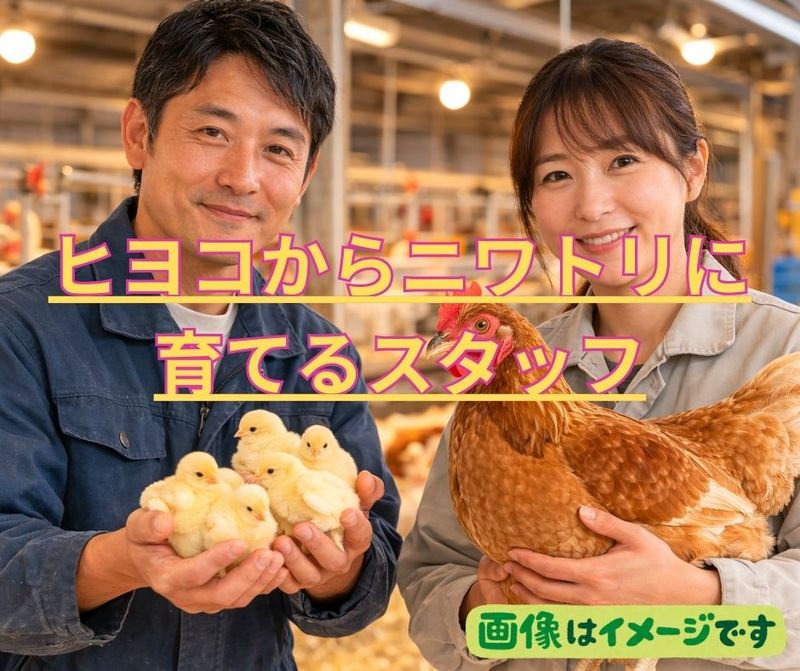 しごと計画学校の求人・転職情報