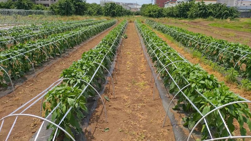 株式会社紀之国屋のぐるめのアルバイト・バイト求人情報-05