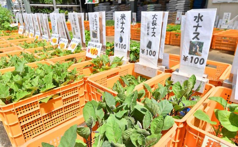株式会社モリタネ　妻沼本店(本社)のアルバイト・バイト求人情報-05