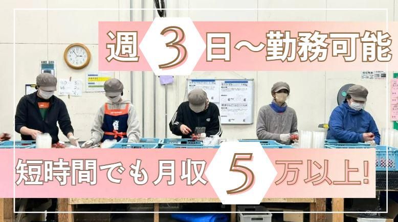 株式会社パルラインのアルバイト・バイト求人情報-01