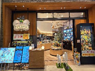 てとてファーム　mozoワンダーシティ上小田井店のアルバイト・バイト求人情報-35