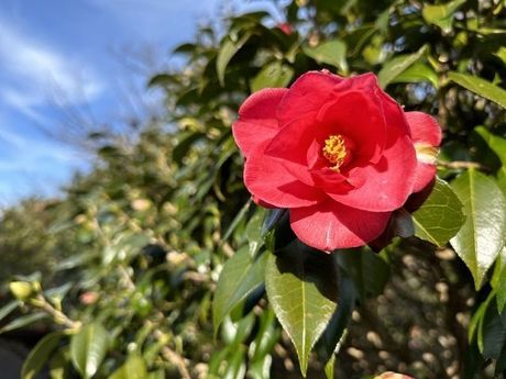 株式会社ヒューマニックの派遣求人情報