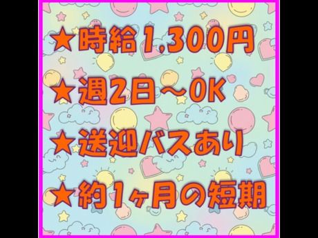 ヤマト・スタッフ・サプライ株式会社　福岡支店 / 21543の派遣求人情報