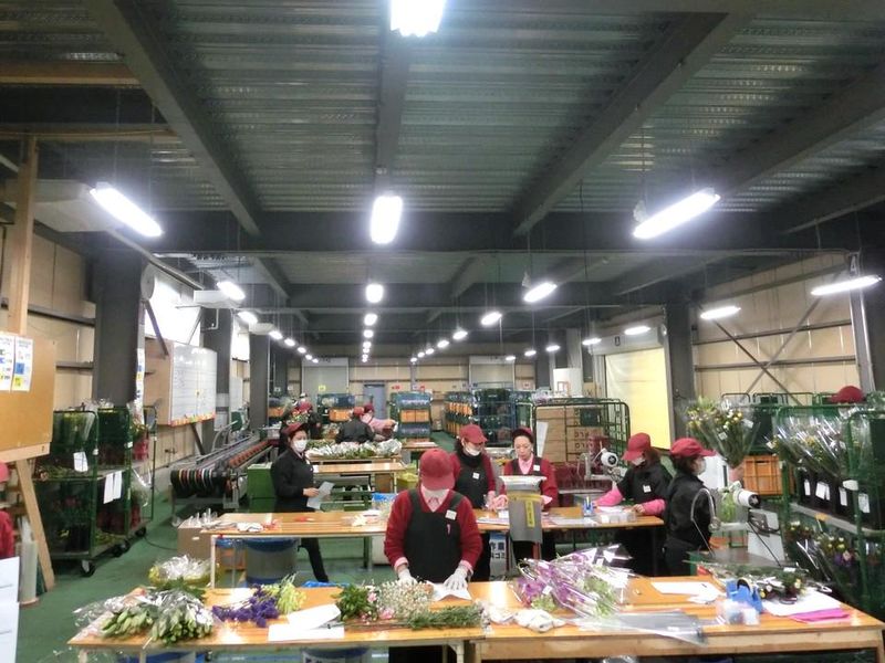 株式会社すずき商事　鴻巣支社のアルバイト・バイト求人情報-02