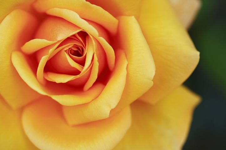 株式会社LESのアルバイト・バイト求人情報-02