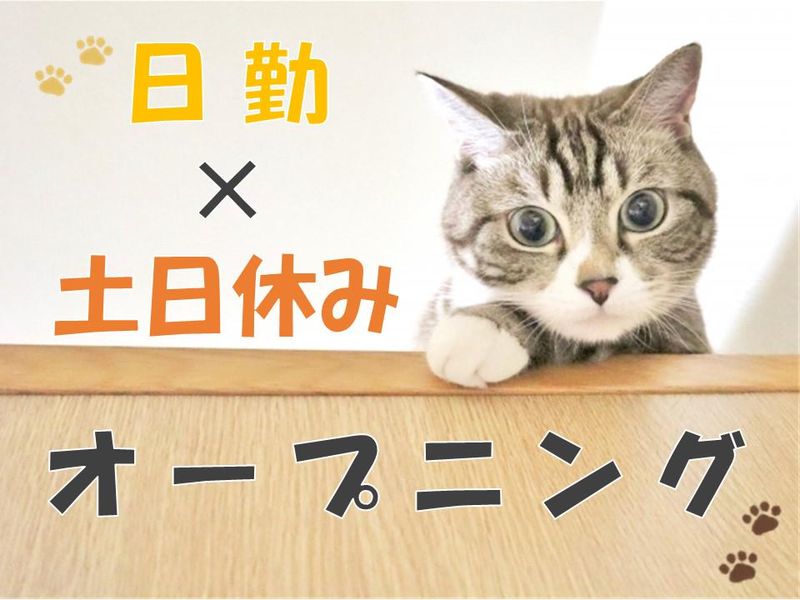 株式会社マイセルフネクスト/cc002f01