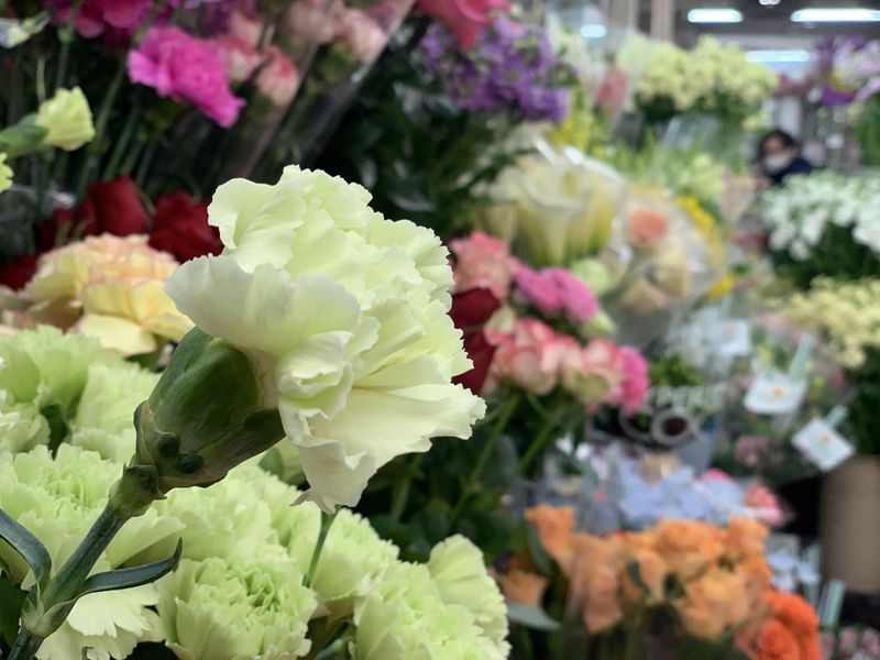 株式会社あさの生花店の求人情報